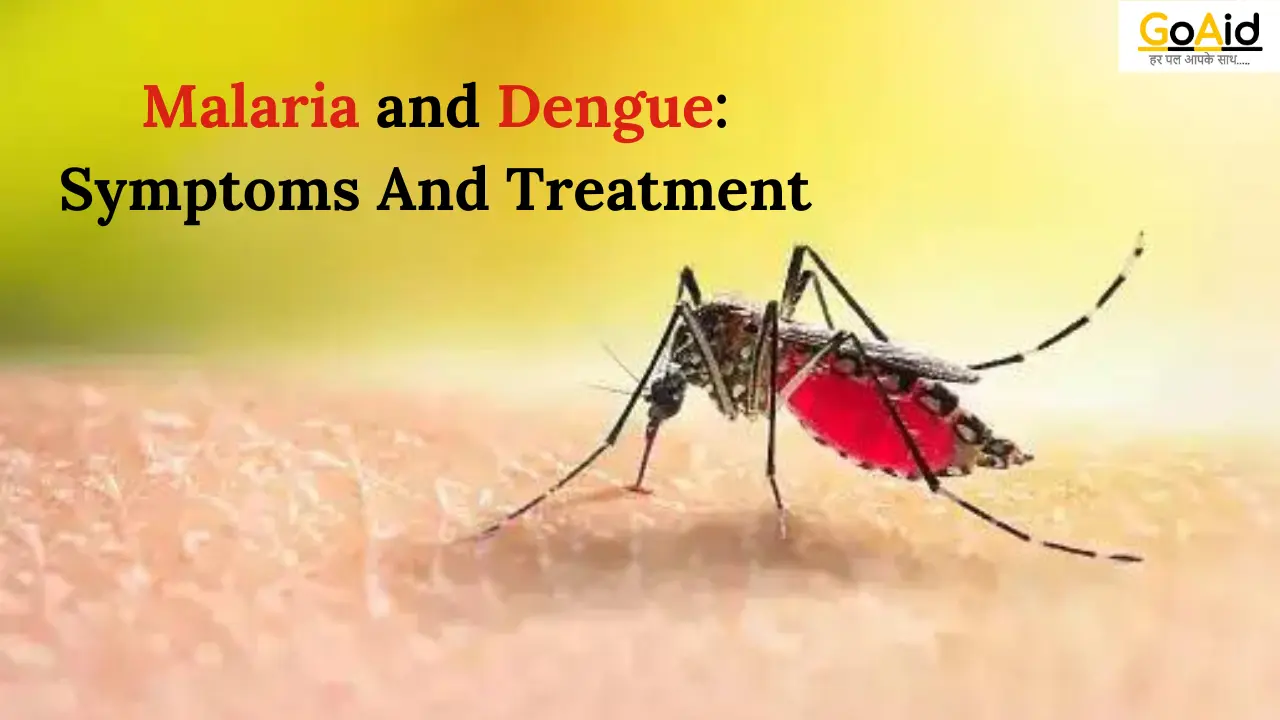 Malaria and Dengue: Symptoms And Treatment