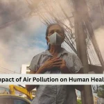 Impact of Air Pollution on Human Health